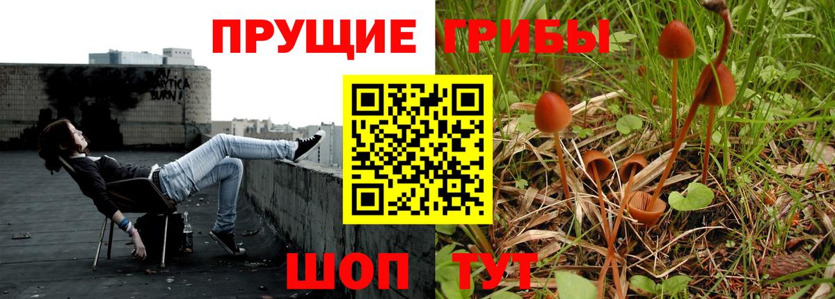 Псилоцибиновые грибы Psilocybe  Псилоцибиновые грибы Magic Shrooms  Вход с VPN  Ирбит 